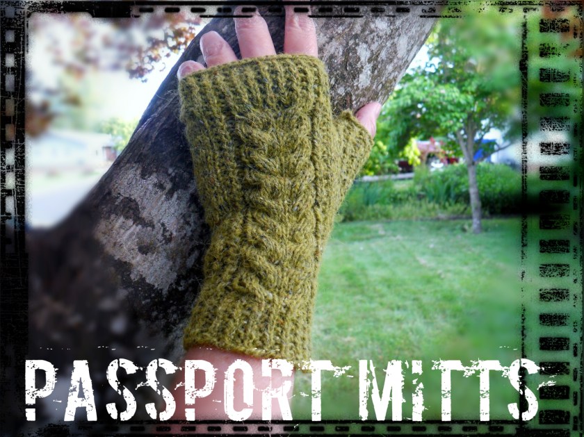 PASSPORT MITTS
