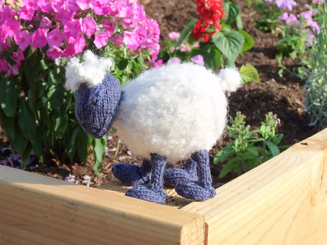 Lamb in garden
