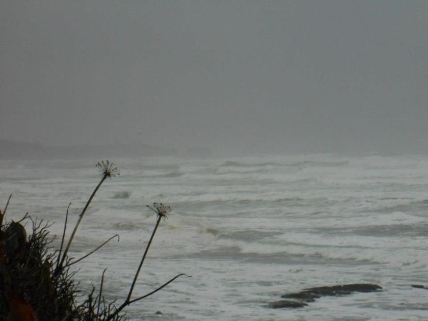 427270_422069304542158_1536505249_n