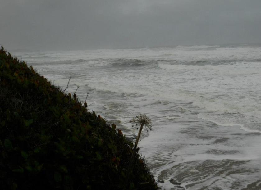 525471_422070494542039_207090200_n