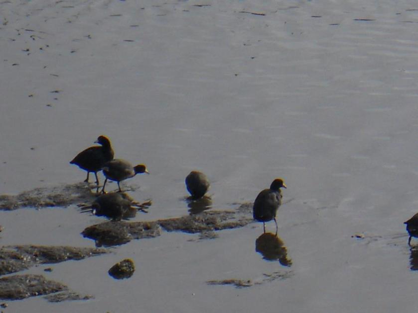 778726_422100847872337_886460839_o