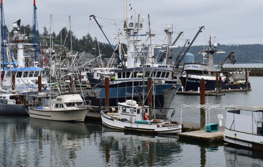 Boats at bayfront (1024x652)