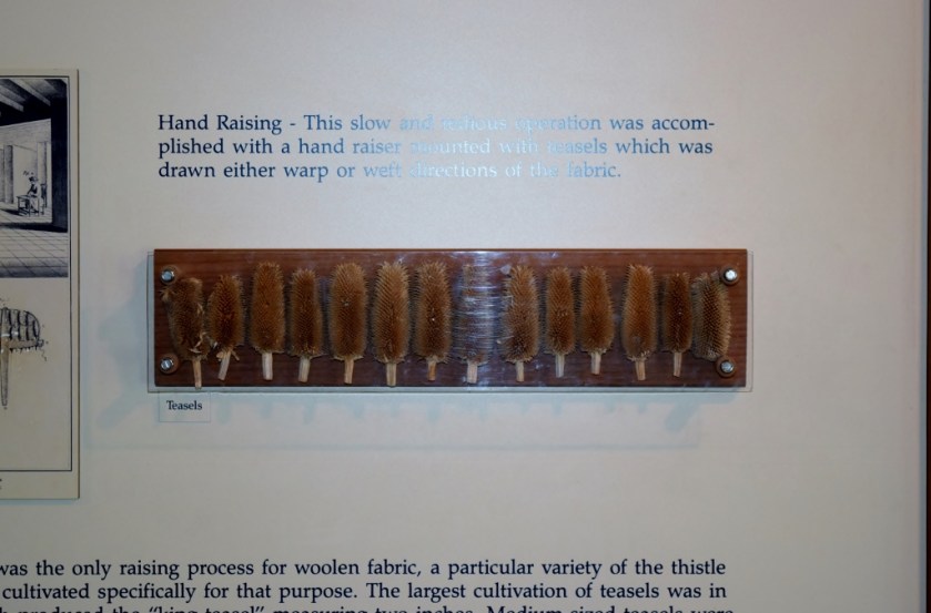 Hand Raising (1024x675)