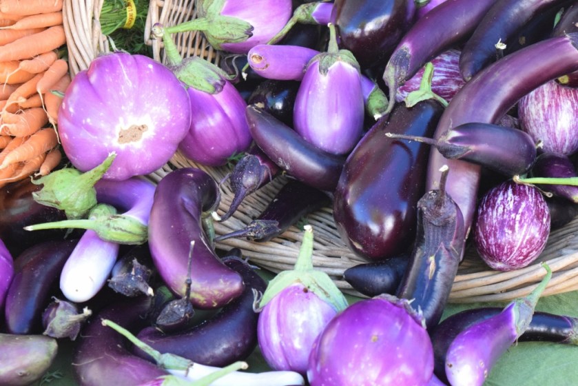 eggplants (1024x683)