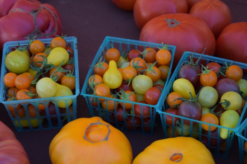 Tomatoes5 (1024x683)
