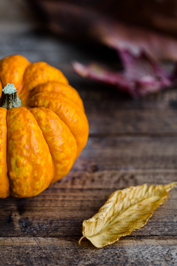 pumpkin-leaf-by-michaela-unsplash-683x1024
