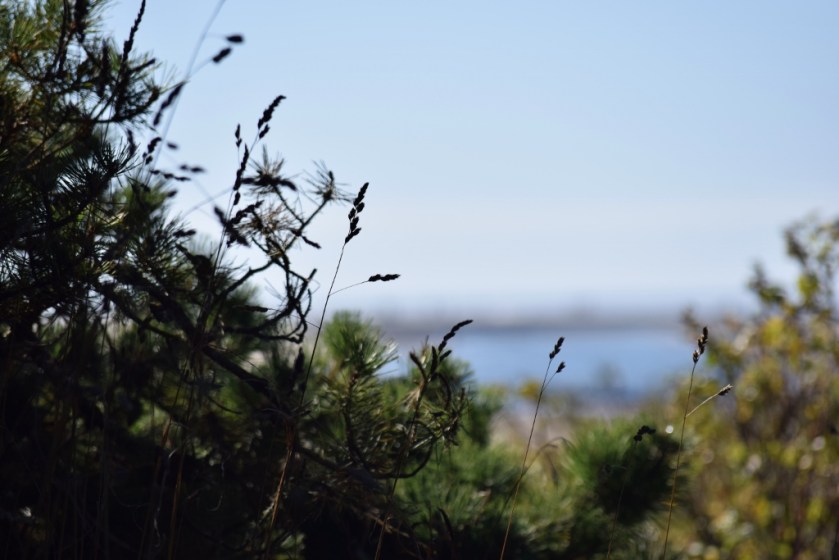 playing-with-depth-of-field-1024x683