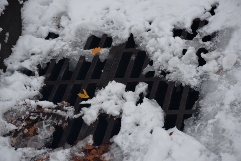 grate-w-leaves-1024x683