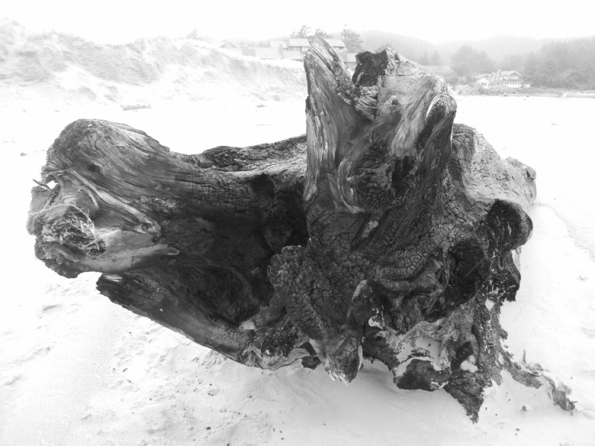 cannon-beach-1024x768