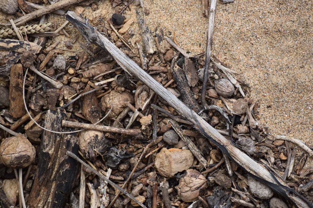 Hodgepodge 2 (1024x683)