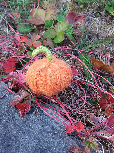 Torunn's Wee Pumpkin